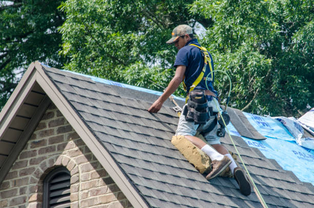 Roof Gutter Cleaning in St Andrews, SC